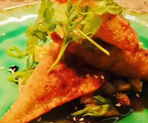 crispy wonton appetizer. 